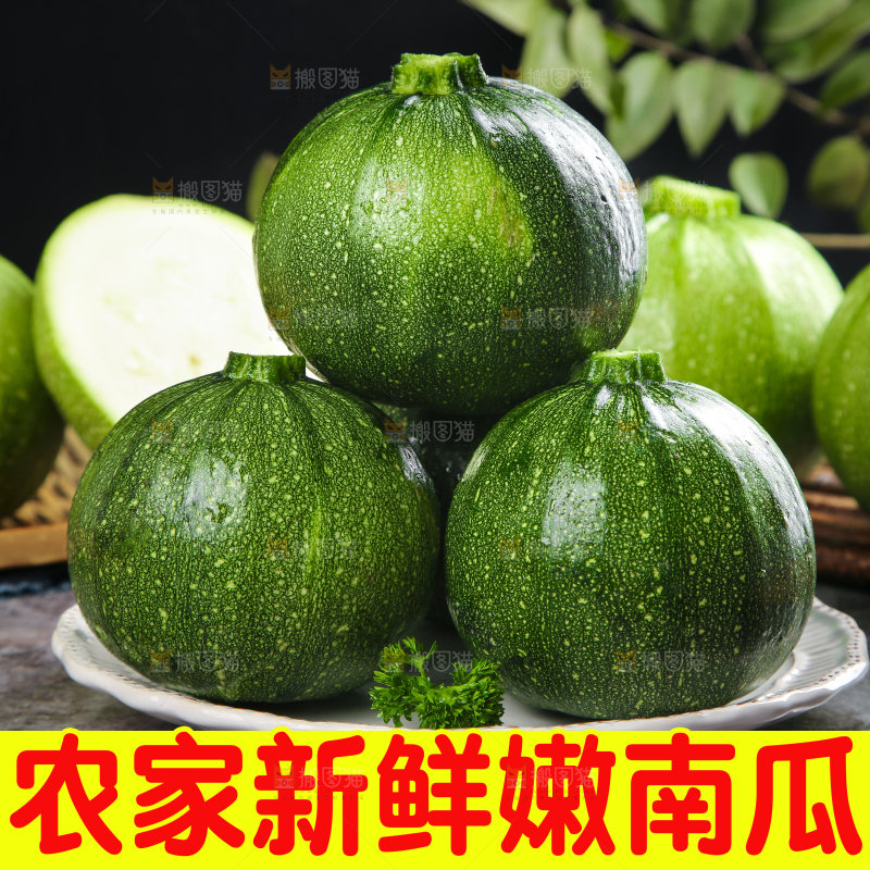 嫩南瓜主图