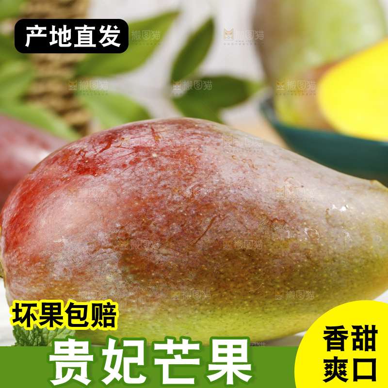 浅底上的贵妃芒果