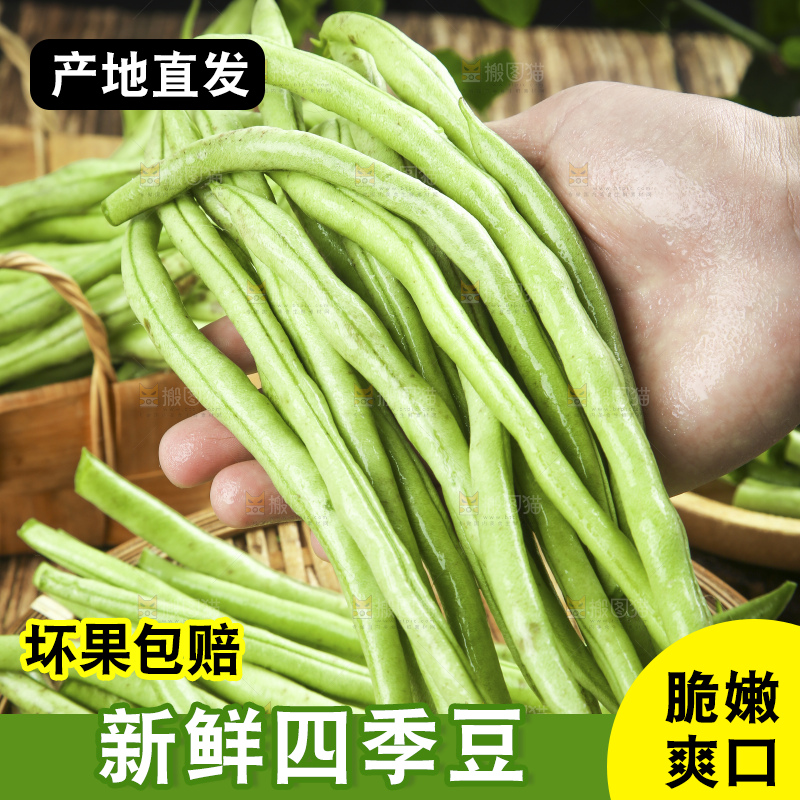深底上的四季豆