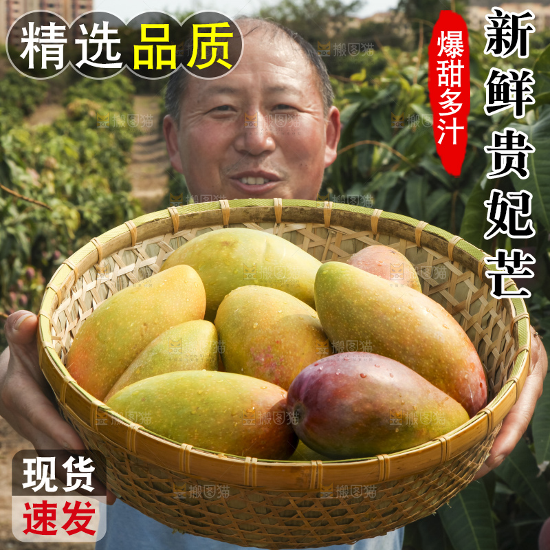 手里拿着贵妃芒果