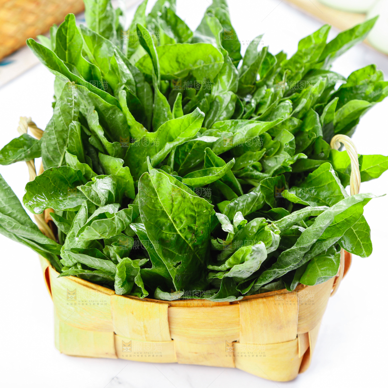 白底上的汉菜