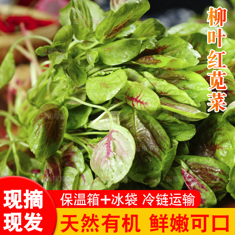 木底上的红苋菜