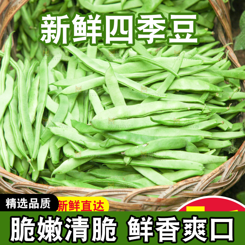 四季豆主图