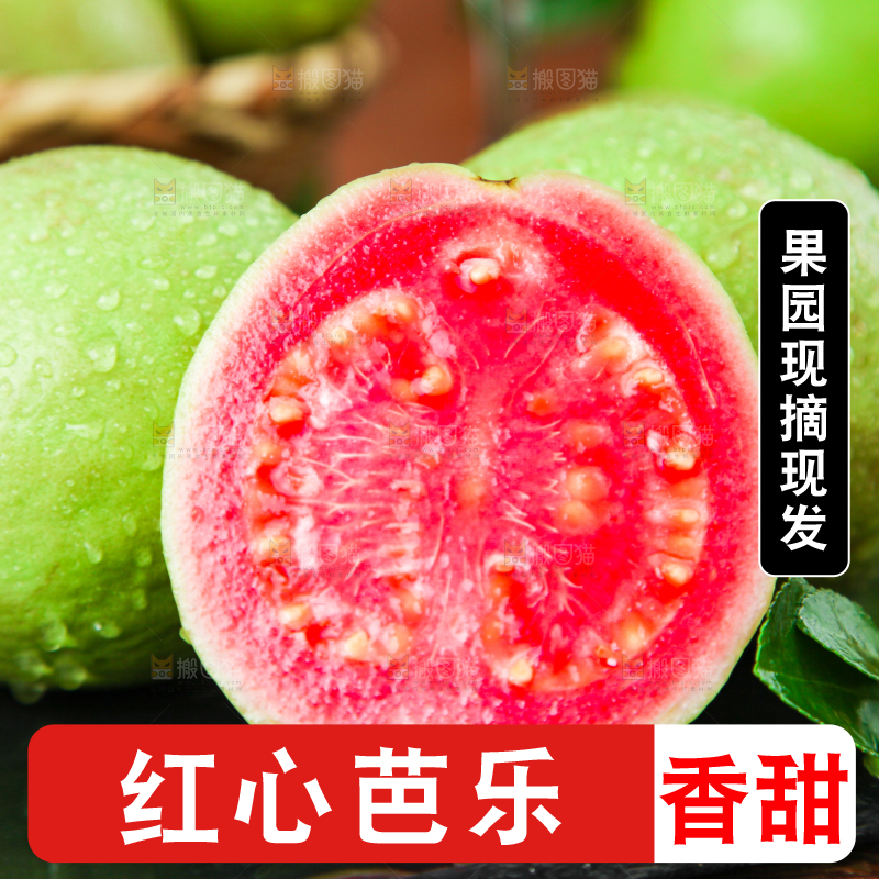 深底上的红心芭乐