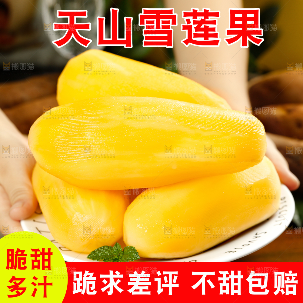 雪莲果主图