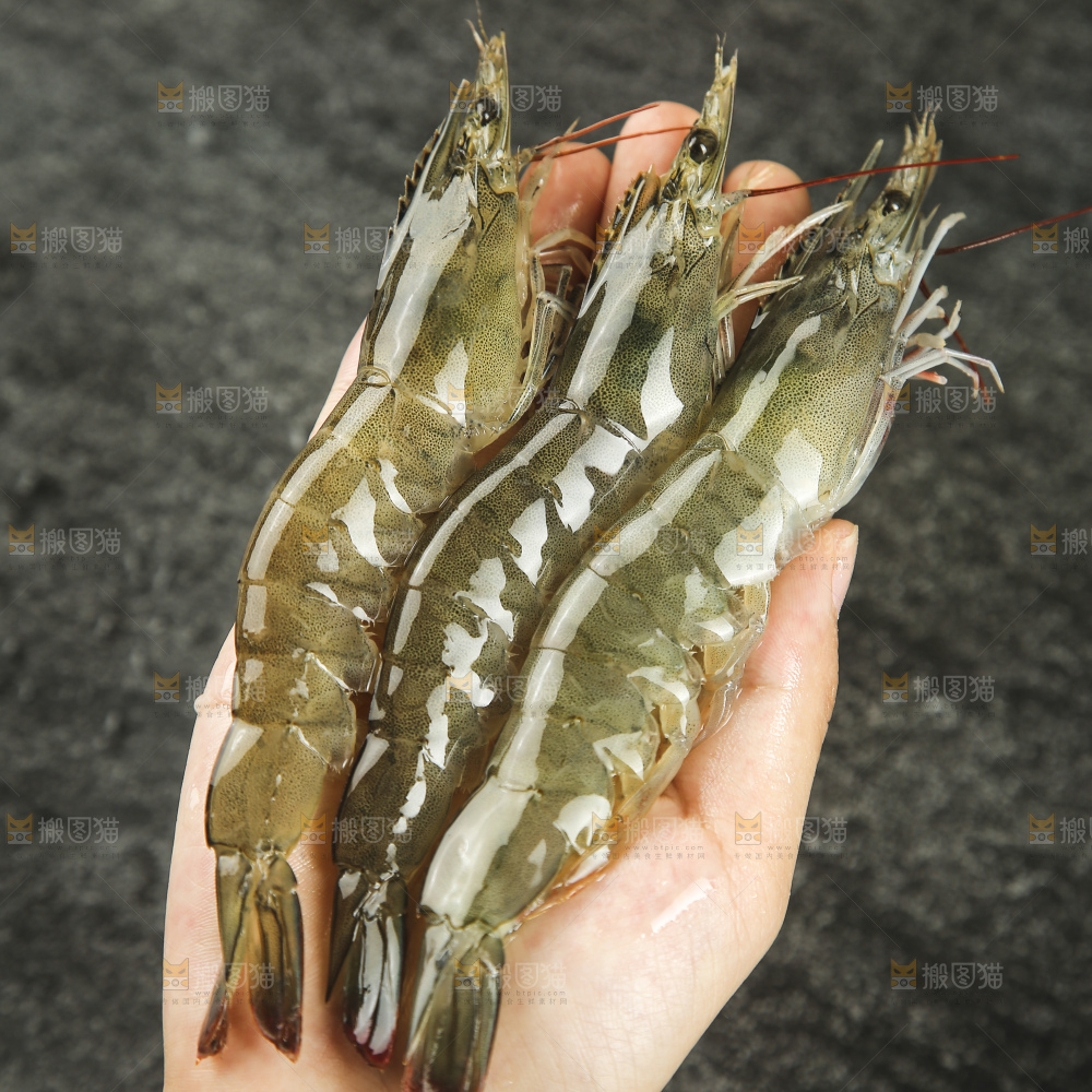 大青虾