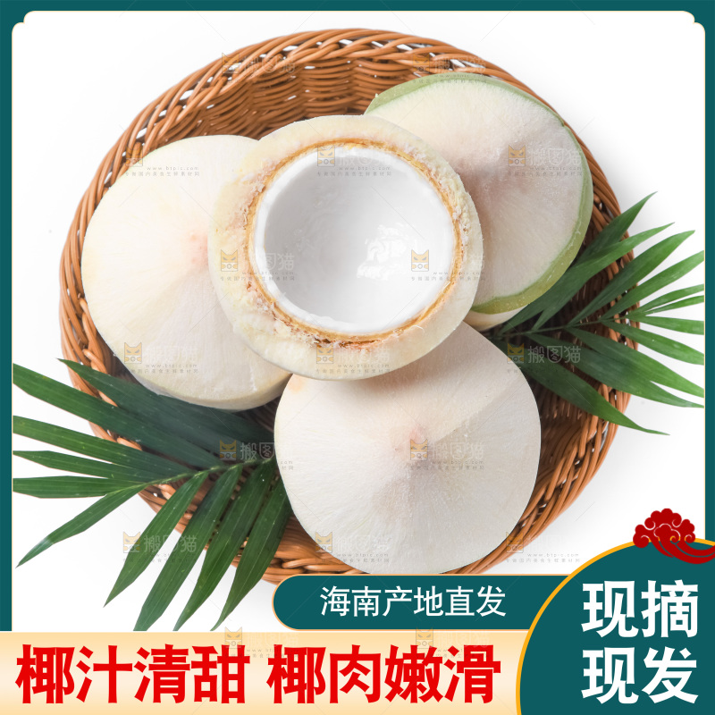 海南椰青主图