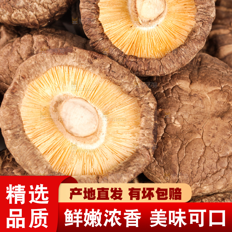 白底上的干香菇