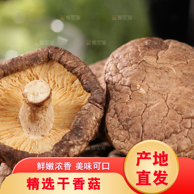 深底上的干香菇