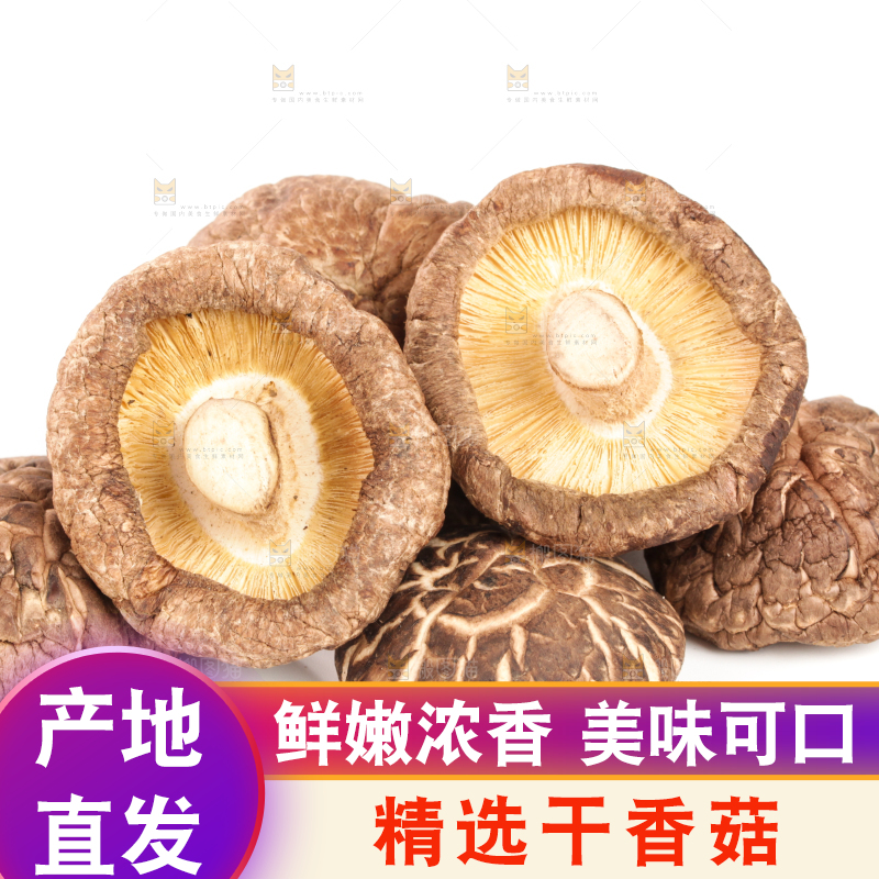 白底上的干香菇