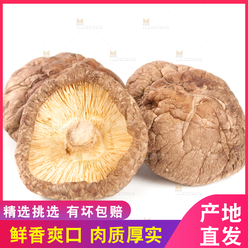 白底上的干香菇