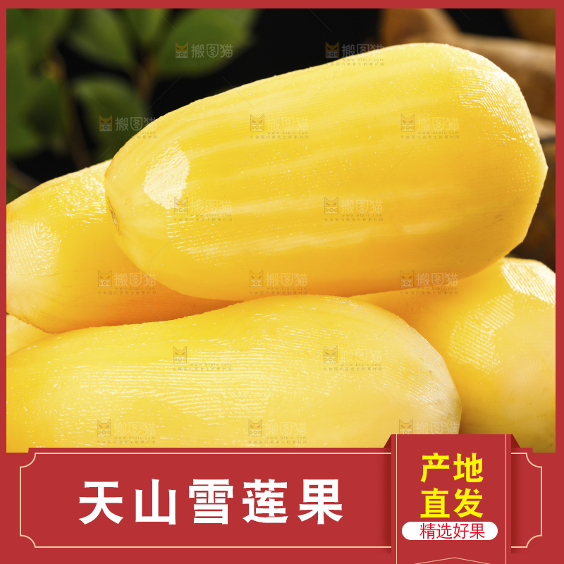 深底上的雪莲果