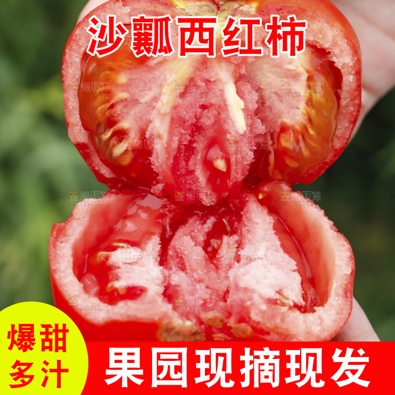 手里拿着沙瓤番茄