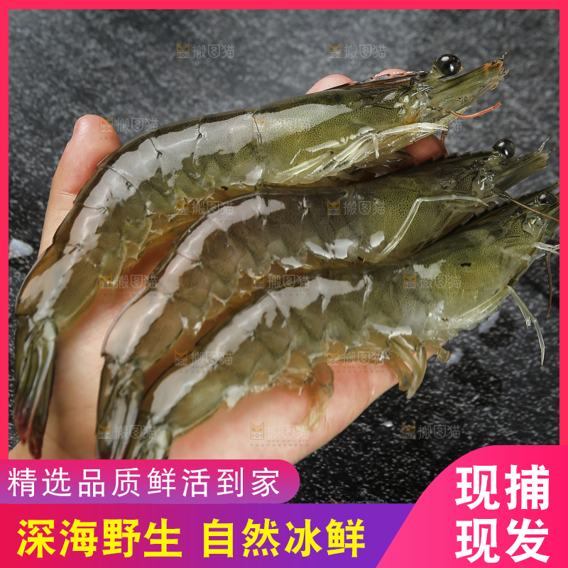 手里拿着青岛大虾