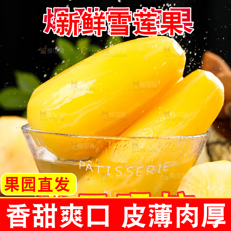 雪莲果主图