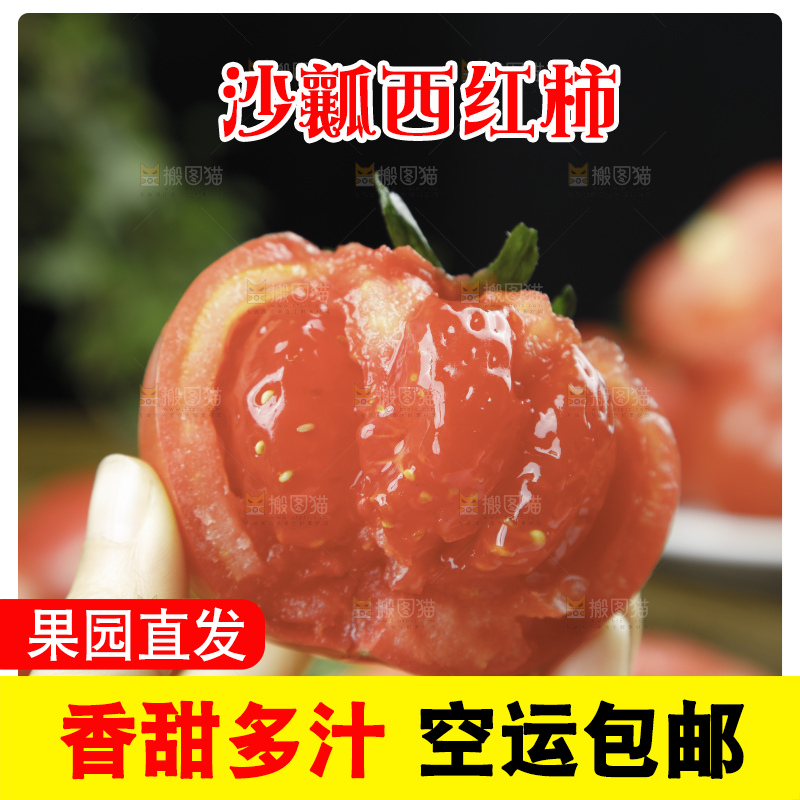 手里拿着沙瓤番茄