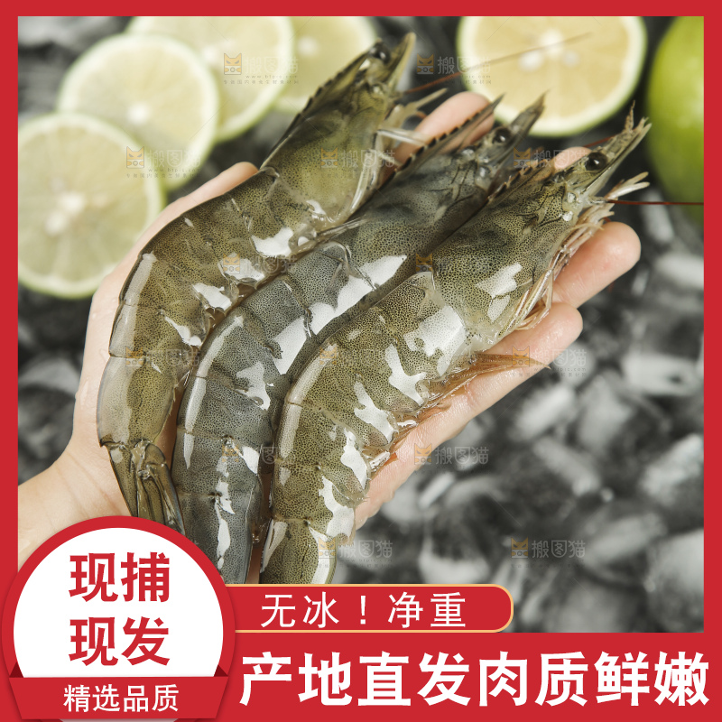 手里拿着青岛大虾