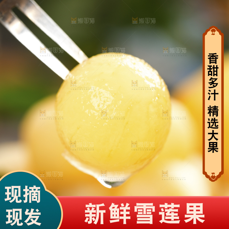 深底上的雪莲果