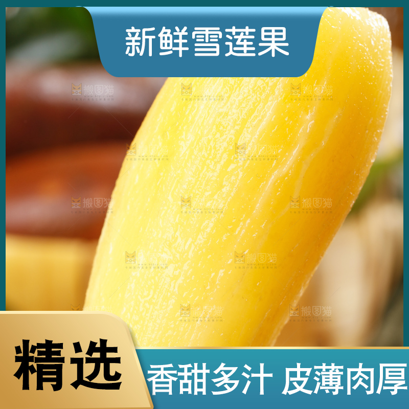 深底上的雪莲果
