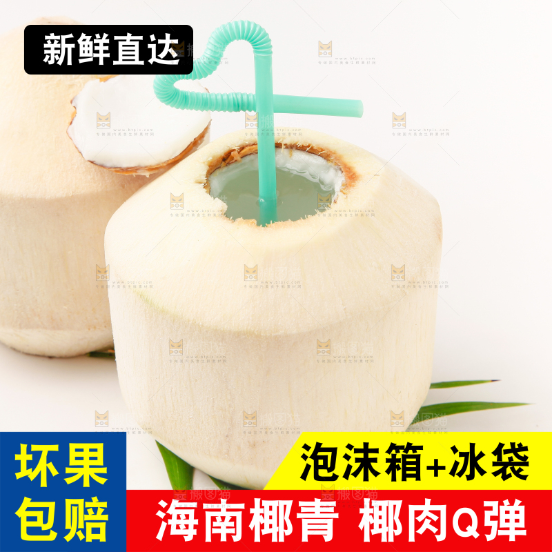 海南椰青主图