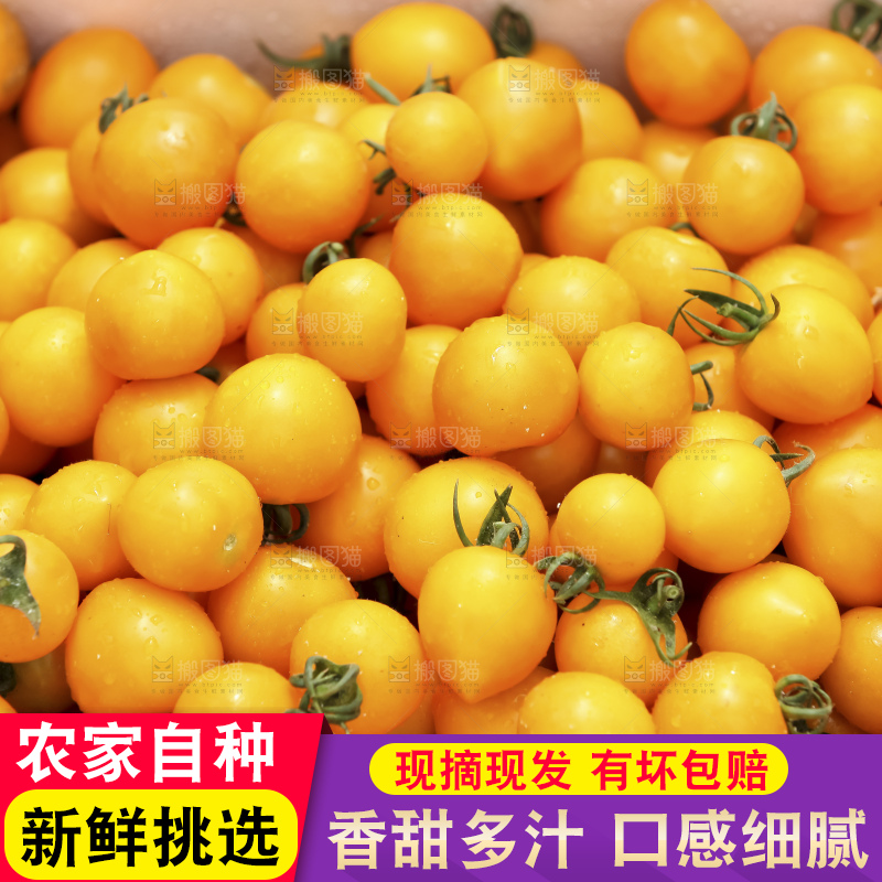 堆放着的黄金小番茄