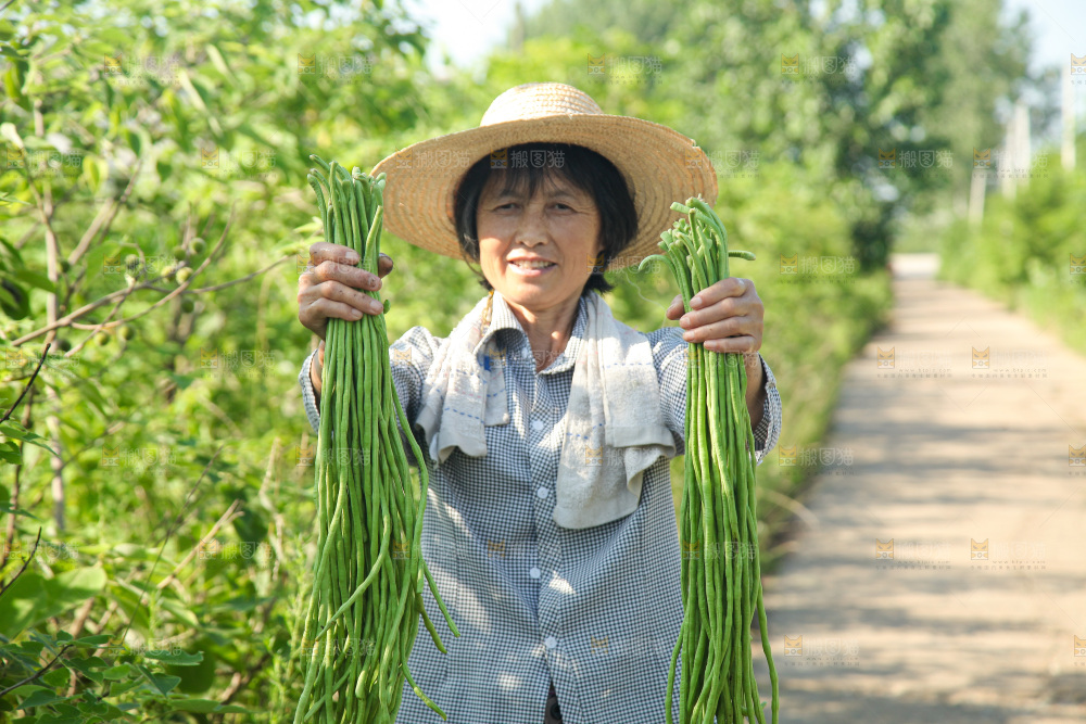 手里拿着长豇豆