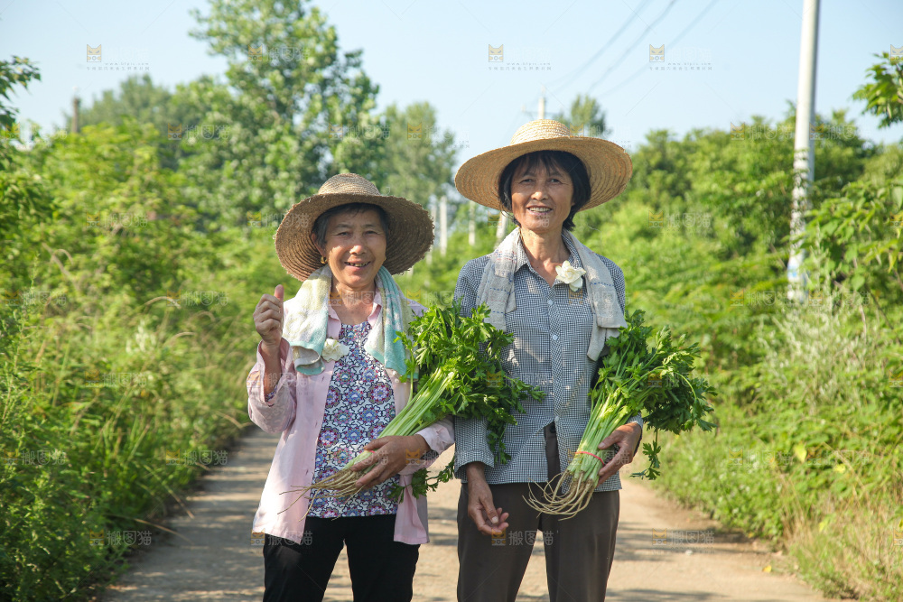 手里拿着新鲜芹菜