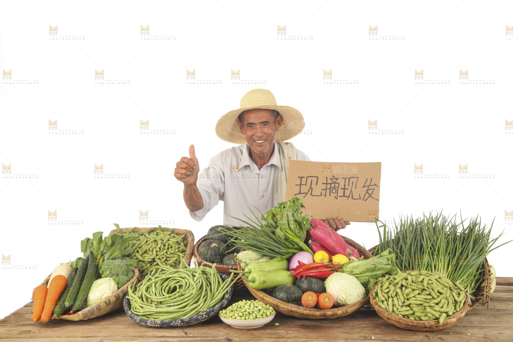 农民蔬果直播