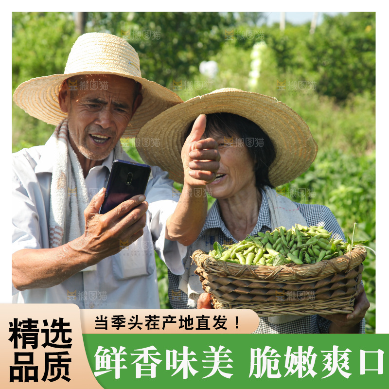 手里拿着现摘毛豆