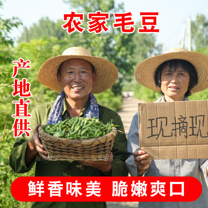 手里拿着现摘毛豆