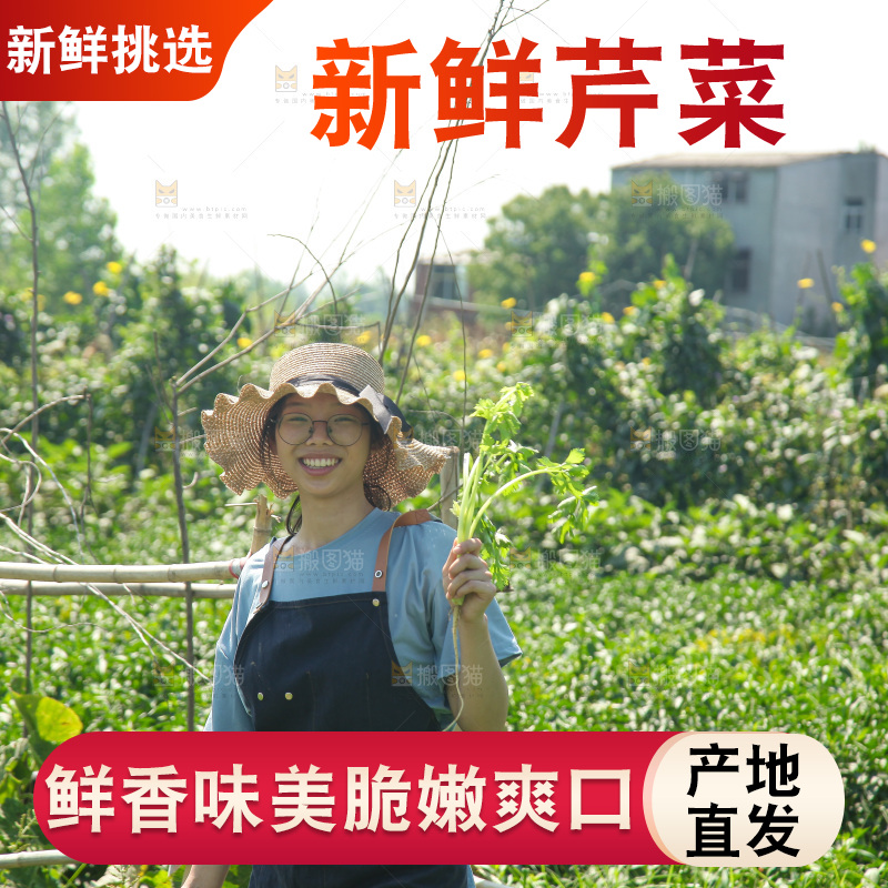 手里拿着新鲜芹菜