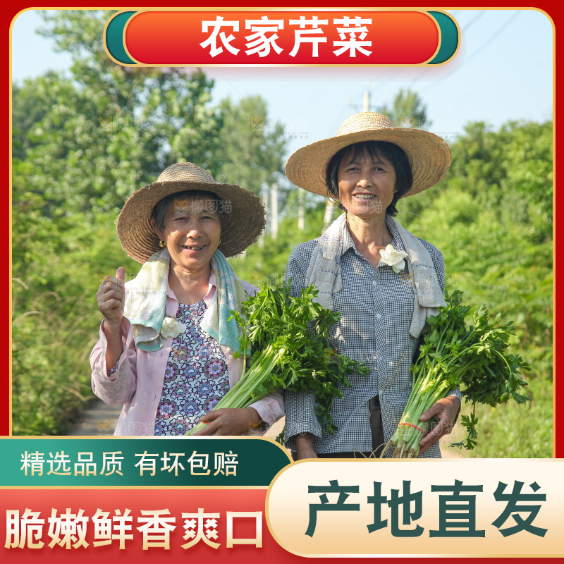 手里拿着新鲜芹菜