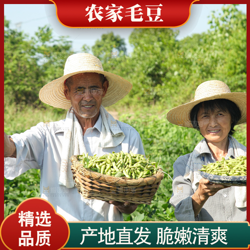 手里拿着现摘毛豆
