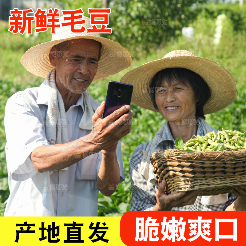 手里拿着现摘毛豆