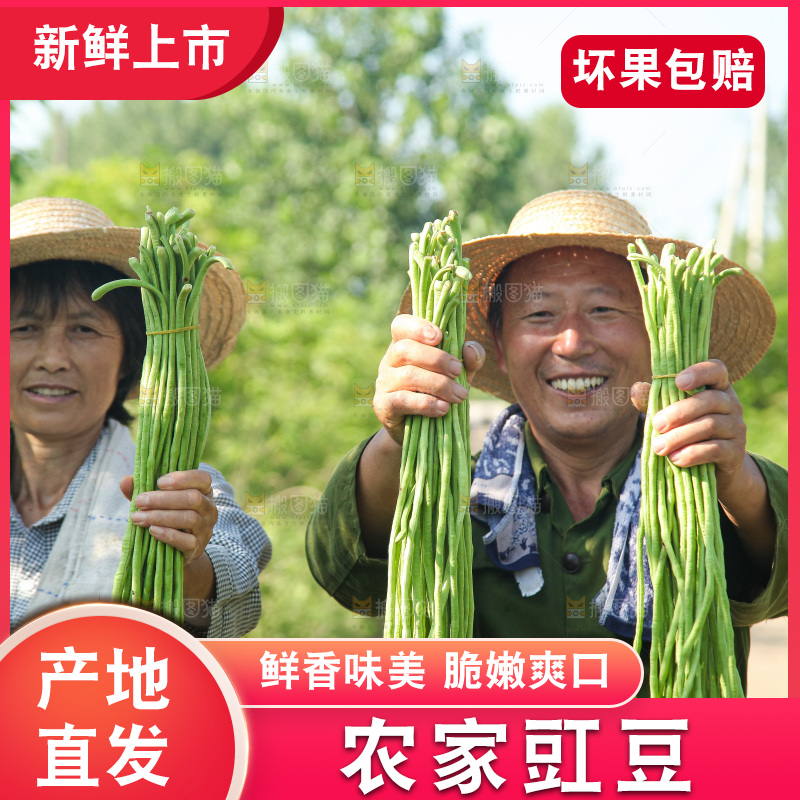 手里拿着长豇豆
