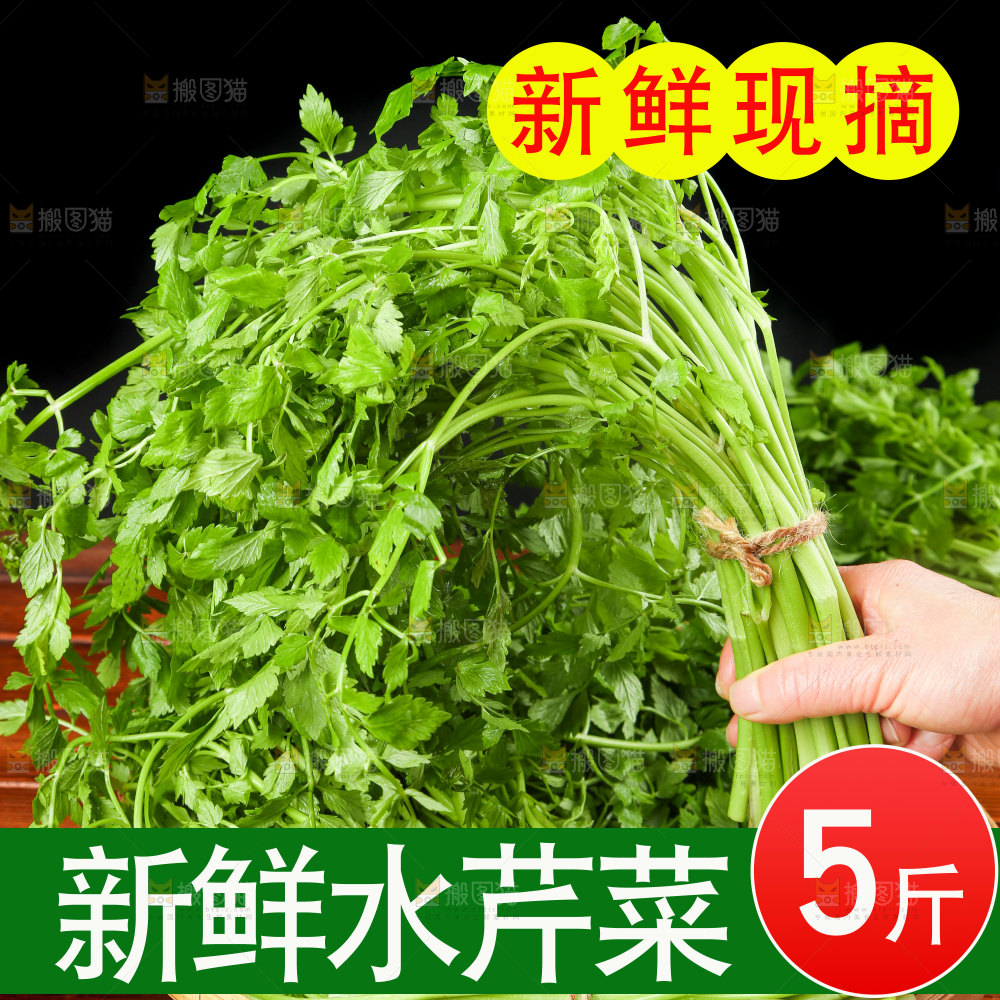 新鲜水芹菜主图