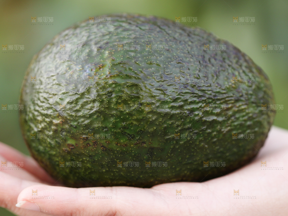 深底上的牛油果