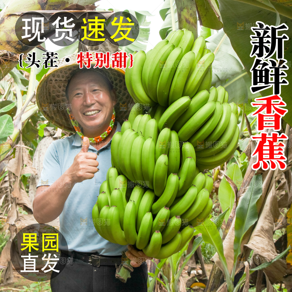 新鲜香蕉主图