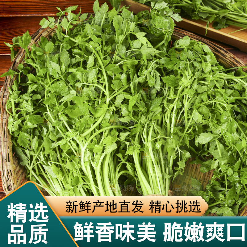 木底上的新鲜芹菜