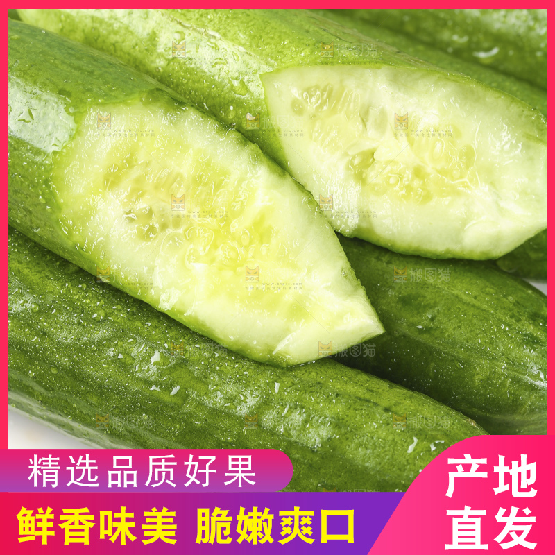 浅底上的水果黄瓜
