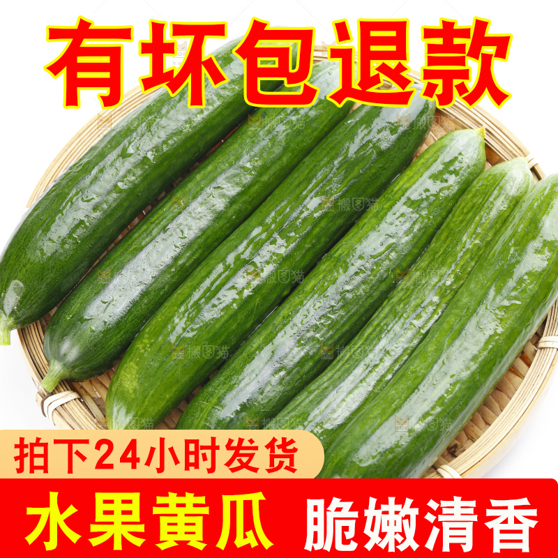 浅底上的水果黄瓜