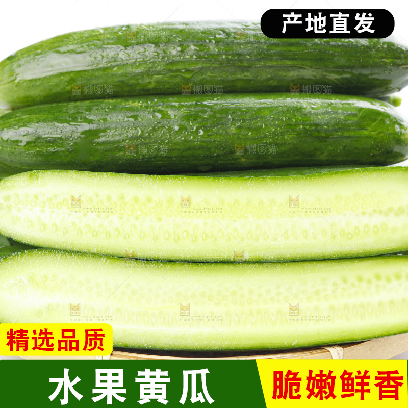 浅底上的水果黄瓜