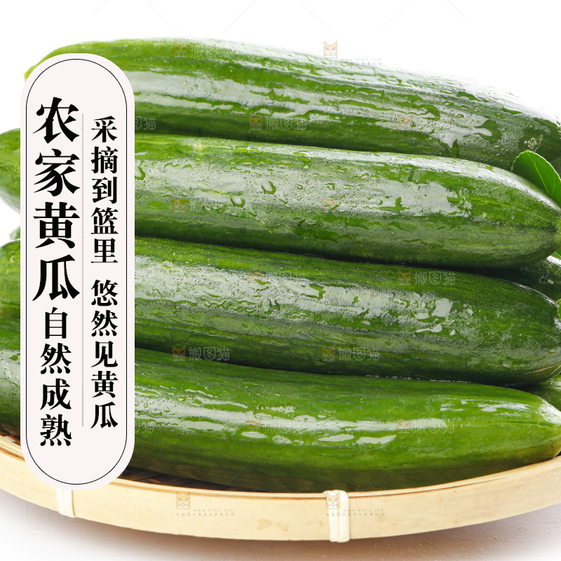 浅底上的水果黄瓜