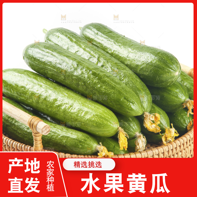 浅底上的水果黄瓜