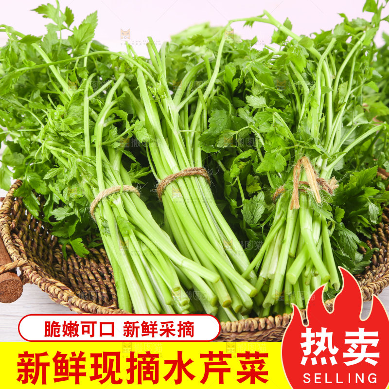 新鲜水芹菜主图
