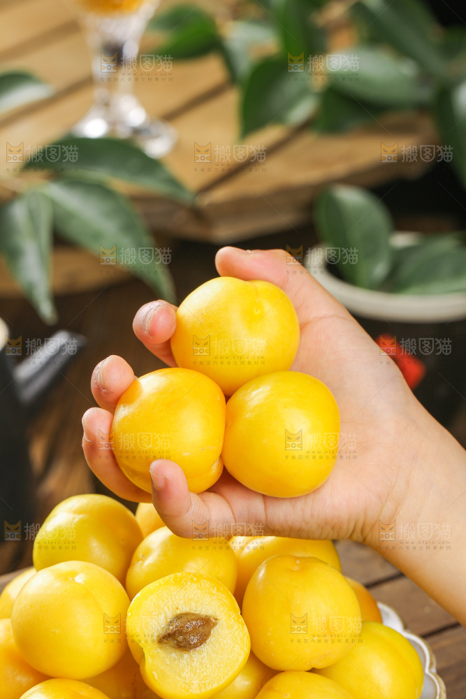 深底上的新鲜小白杏