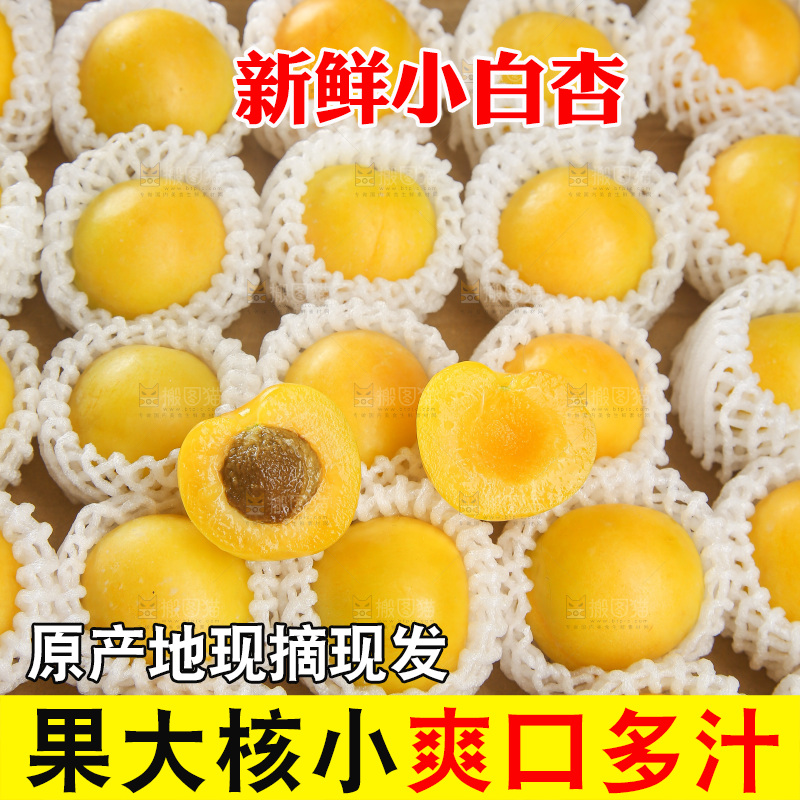 深底上的新鲜小白杏