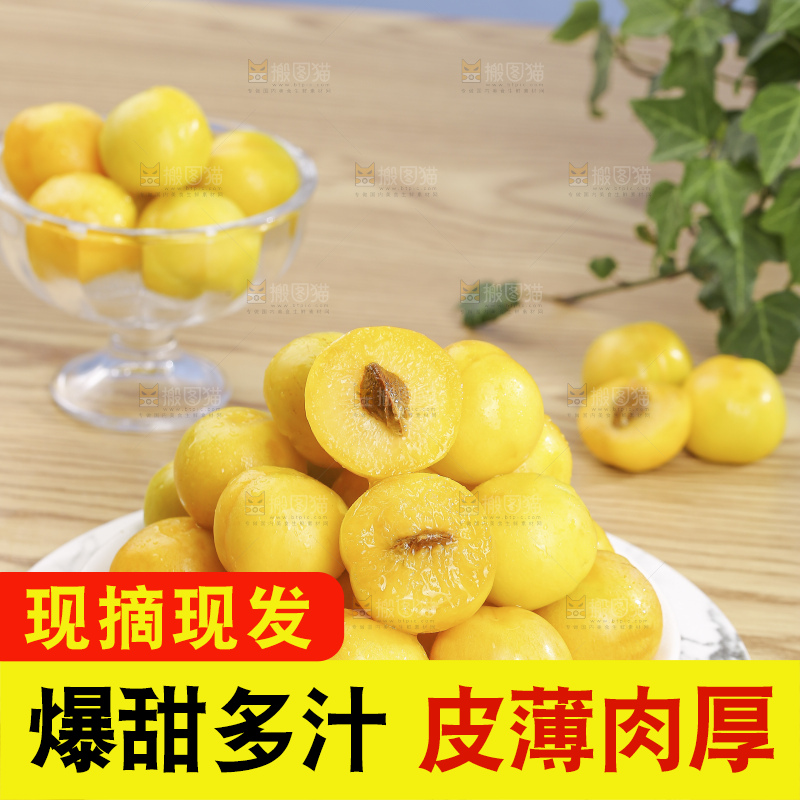 浅底上的小白杏
