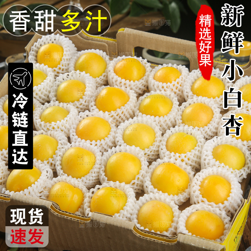 深底上的新鲜小白杏
