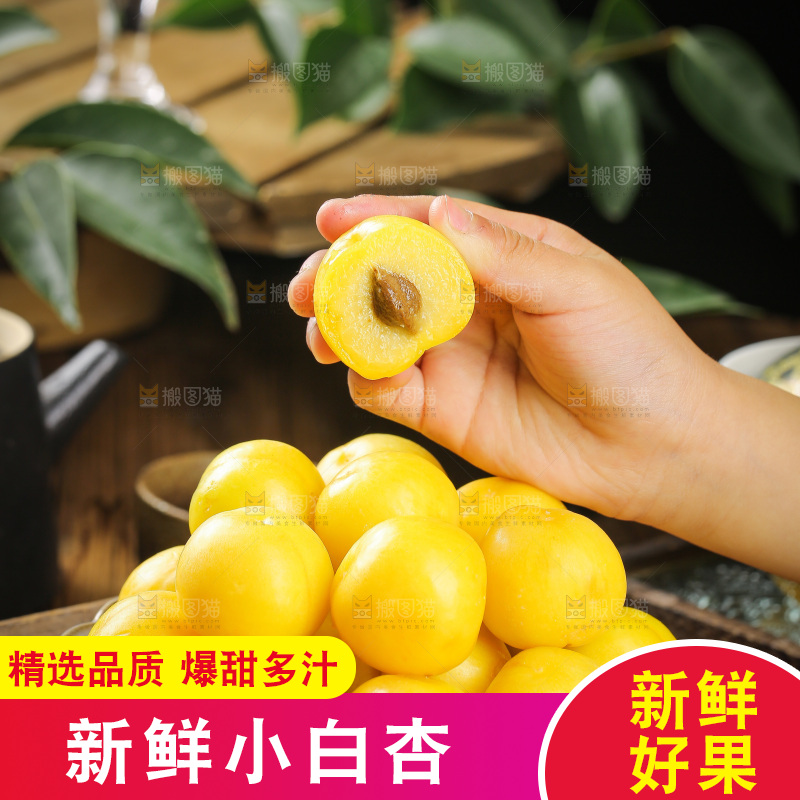 深底上的新鲜小白杏